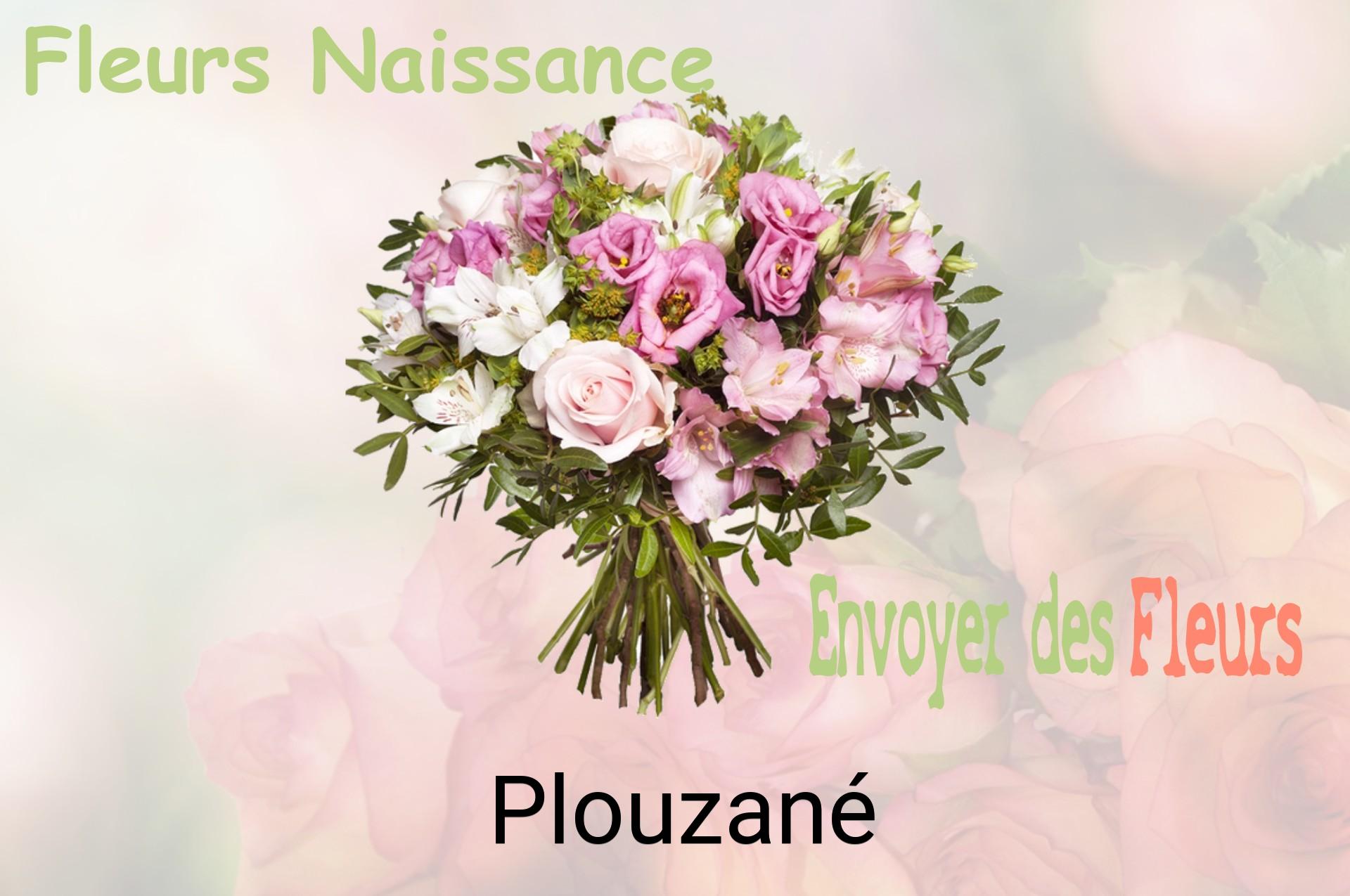 Bouquet de fleurs de naissance livré à Plouzané
